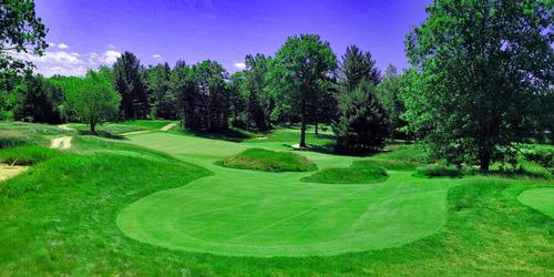 golf article